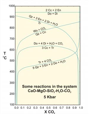 Some reactions in the system CaO-MgO-SiO2-H2O-CO2
