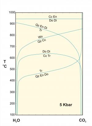 Some reactions in the system CaO-MgO-SiO2-H2O-CO2