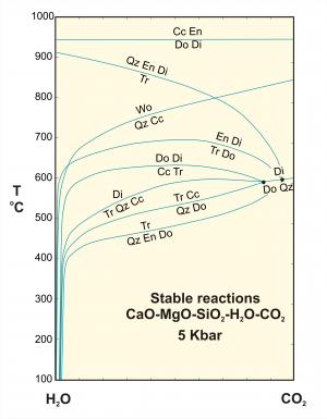 TX diagram showing stable reactions in CMSHC at 5 Kbar