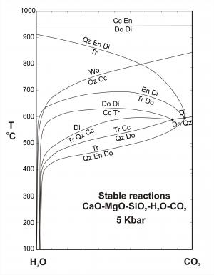 TX diagram showing stable reactions in CMSHC at 5 Kbar