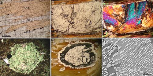 Figure 6. Image of reaction textures