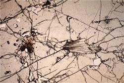 Photomicrograph of kyanite inclusions in garnet