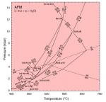 This is an image of a P-T projection