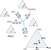 Result of Schreinemakers analysis
