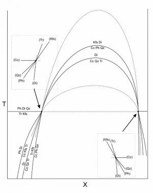 T-X Diagram with repeated invariant point