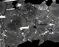BSE image of reverse zoned plagioclase