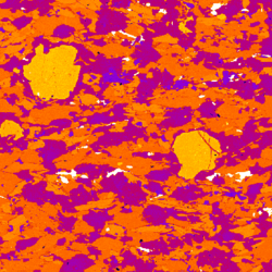 Colorized BSE image.