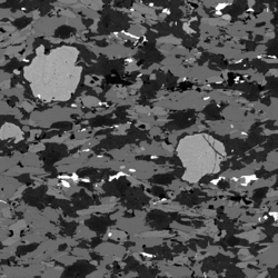 Grayscale back-scatter image.
