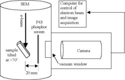 Schematic Diagram of EBSD System