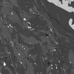 Back-scattered electron image of a pelitic schist