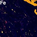 Element map of Fe in a pelitic schist.