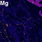 Element map of Mg in a pelitic schist.