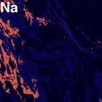 Element map of Na in a pelitic schist.