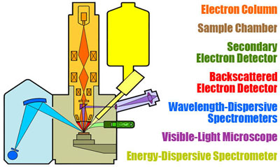 Schematic cut-away diagram of a typical microprobe.