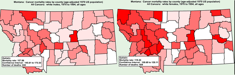 Cancer Maps for Montana
