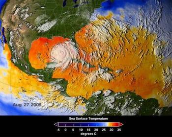 Hurricane Katrina sea surface temperatures.