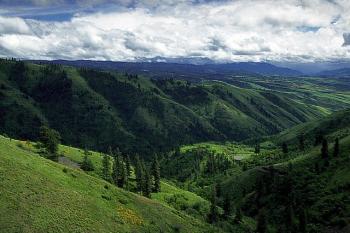 Foothills of the Clearwater Mountains.