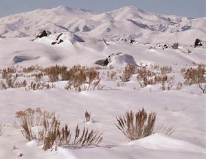 Snow in Craters of the Moon National Monument, Idaho.