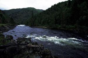 Lochsa River, Nez Perce National Forest, ID.