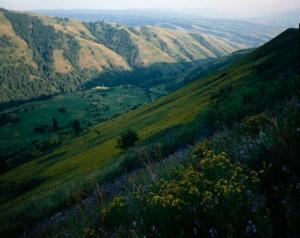 An elevated image of Whitebird Battlefield, Nez Perce National Historic Park.