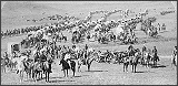 Custer and the 7th Calvary
