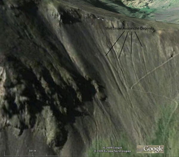 Avi Deposit