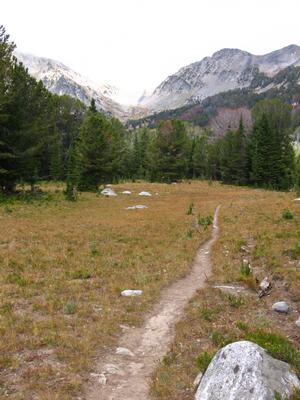 Bear Basin Trail