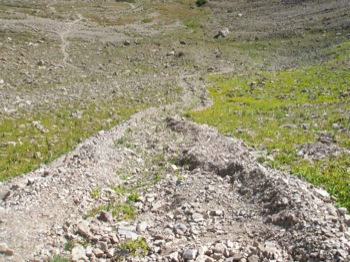 Debris Flow with Marginal Levees