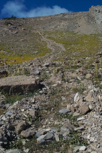Debris flow path