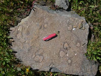 Garnets from mafic dike, Bear Basin.