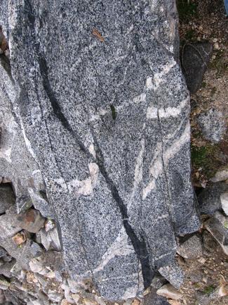 Gneiss