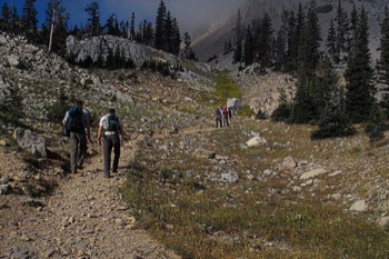 Hikers at treeline