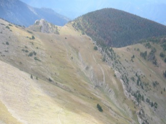 Lower Paleozoic and Belt