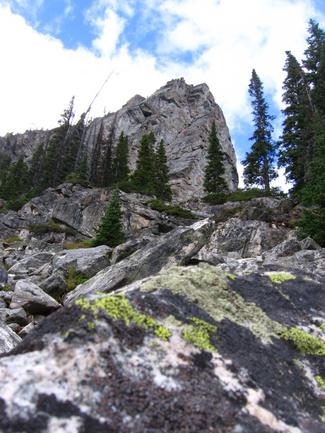 metamorphosed gneiss