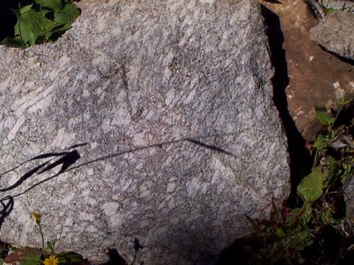 Porphyritic Granodiorite Bear Basin