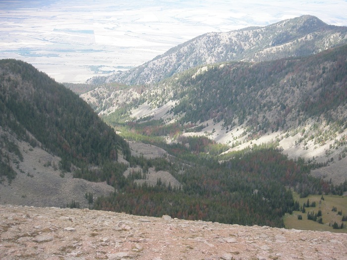 Pro-talus Rampart