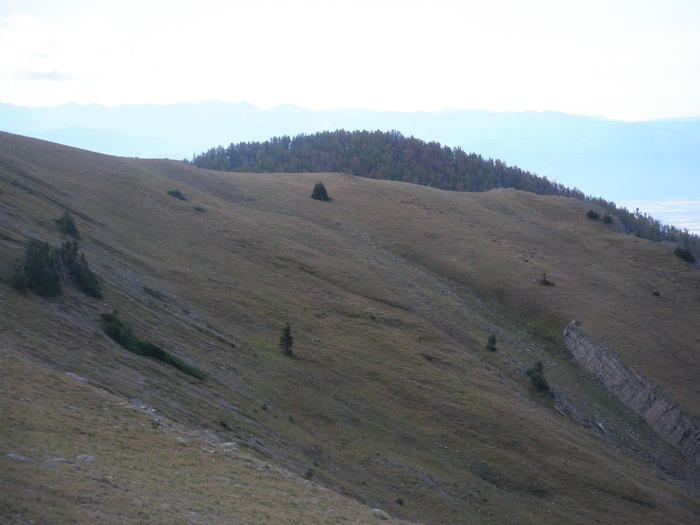 Soil creep and solifluction, west side Sacagawea Peak