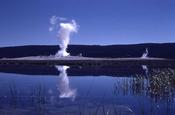 A geyser eruption is reflected in a lake at Yellowstone.