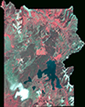 Small false color satellite image of Yellowstone.