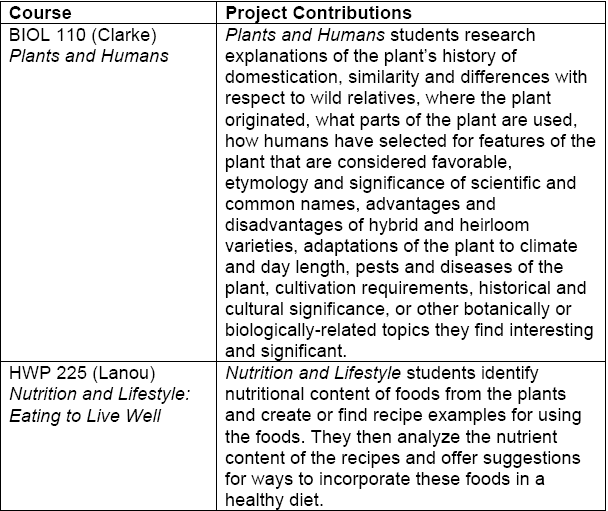 Theme One Contributions 1