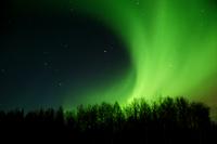 Northern Lights