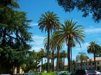Santa Clara University