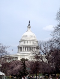 The U.S. Capitol
