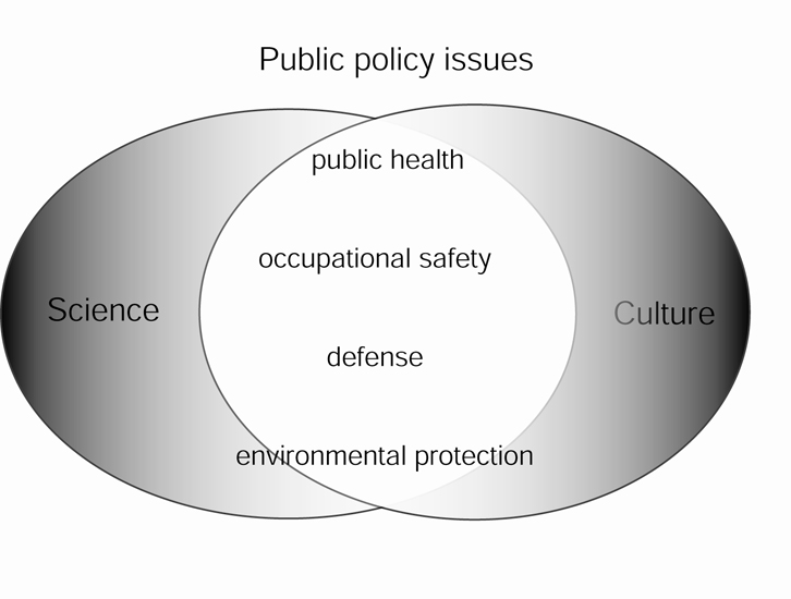 Public Policy Issues