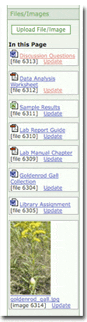 QuickEdit File/Image Tools