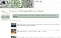 MLER Undergrad activities Page Screenshot