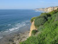 Cliff near Scripps Institute of Oceanography
