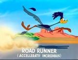 roadrunner