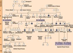 Pedigree Pic