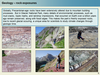 SSACgnp.GB2403.JAM1.6-Slide5